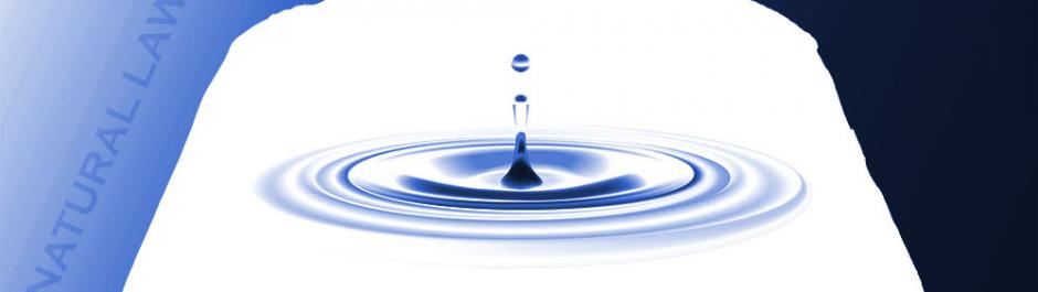 Lake Cop: Ripple Effect Off The Wall Cover Image