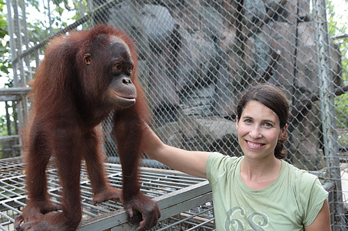 Sandra Leuba, Rescue Centre