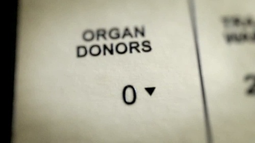 Absolution: Organ Donor Trade