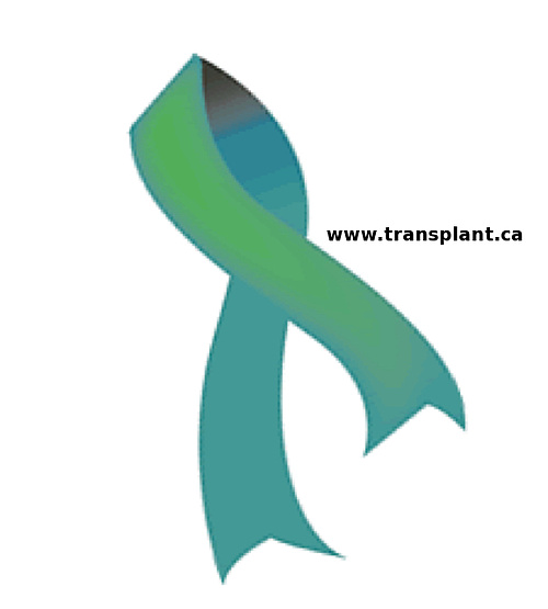 Organ Donation 