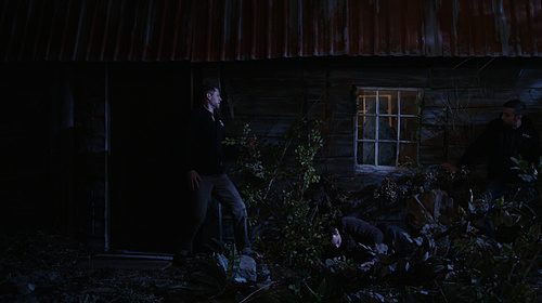 Cabin in the Woods