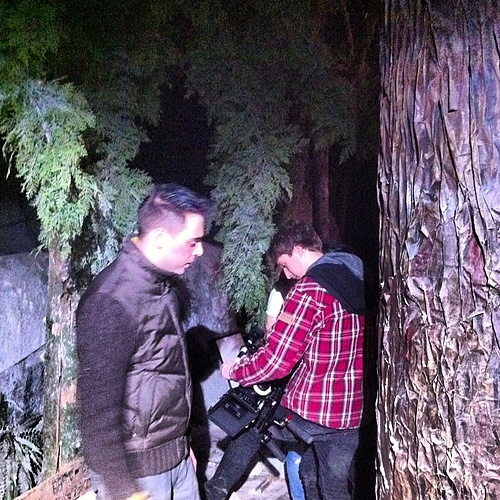 Behind the Scenes: Forest for the Trees