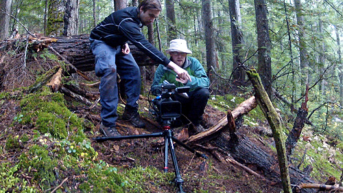 Too many directors, not enough daylight.