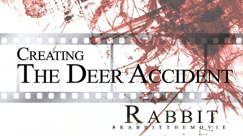 Rabbit Mission Video #2